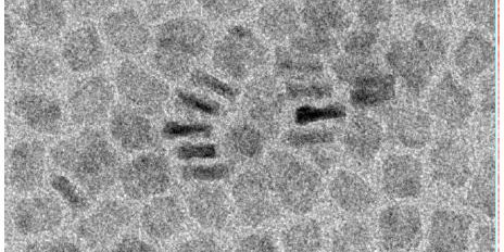 Elektronenmikroskopische Aufnahme von Nanoplättchen.