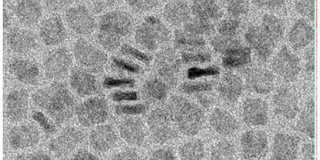 Electron micrograph of nanoplatelets.