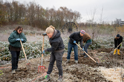 Foto: Fünf Personen graben den Boden des Garden of Refuge um.