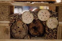 Insektenhotels Detail Holzstämme mit Löchern.