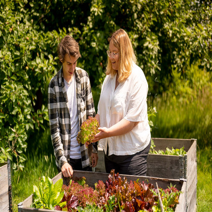 Two young people standing in front of a raised bed with lettuce and holding a picked head of lettuce in their hands