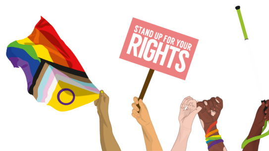 Mehrere erhobene Hände halten eine Regenbogenflagge mit zusätzlichen Farben, ein Schild mit der Aufschrift 'STAND UP FOR YOUR RIGHTS' und einen weißen Stock mit grünem Griff