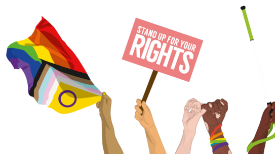 Mehrere erhobene Hände halten eine Regenbogenflagge mit zusätzlichen Farben, ein Schild mit der Aufschrift 'STAND UP FOR YOUR RIGHTS' und einen weißen Stock mit grünem Griff