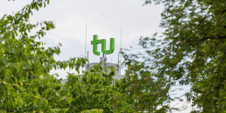 TU-Logo auf dem Mathetower, im Vordergrund Blattwerk