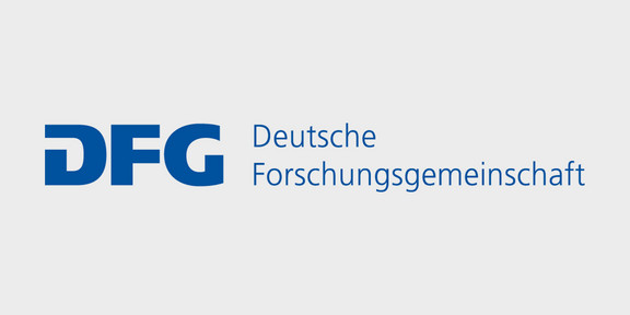 Blaue Schrift auf weißem Hintergrund: DFG – Deutsche Forschungsgemeinschaft