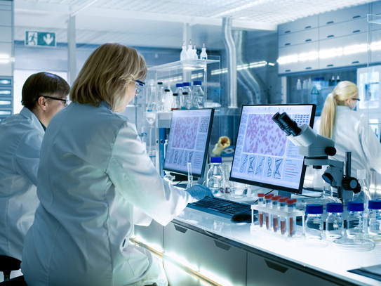 Female and male scientists working on their computers in a big modern laboratory. Various shelves with beakers, chemicals and different technical equipment are visible