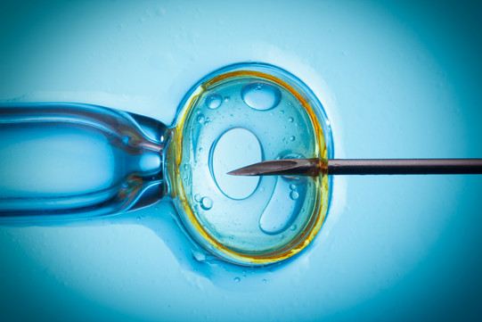 Das Foto stellt symbolisch den Prozess der In-vitro-Fertilisation dar.
