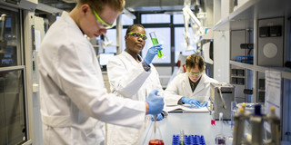 Foto: Drei Personen arbeiten mit Reagenzgläsern und Laborgeräten an einem Labortisch.