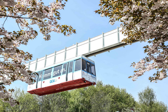 H-Bahn im Frühling Die H-Bahn im Frühling. Im Vordegrgund blühen Kirschblüten.