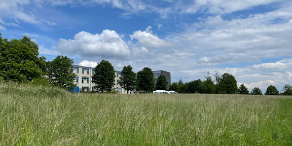 Eine große Wiese. In der Ferne stehen zwei weiße Pavillons am Ende des Grases. Dahinter sind Gebäude und ein paar Bäume am Rand der Wiese zu sehen.
