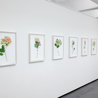 Sechs Kunstwerke mit Blumenmotiven vor weißem Hintergrund