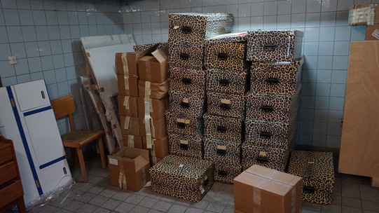 In einem weißgefließten Kunstkeller steht ein großer Stapel verschiedener Kartons in einer Ecke. Viele der Kartons haben ein Leopardenmuster.