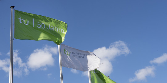 drei grüne und eine weiße Flagge mit dem Schriftzug "TU 50 Jahre" vor blauem Himmel