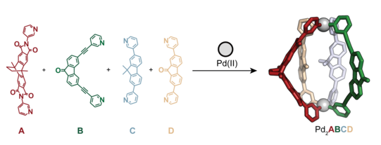 Zu sehen ist die Formel der molekularen Verbindung des ABCD-Produktes auf weißem Hintergrund.