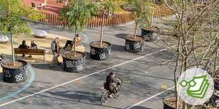Radweg in Barcelona Ein Mensch fährt Fahrrad über die Straße und rechts und links stehen Blumenkübel.