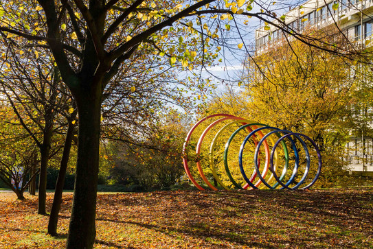 Steel spectral rings surrounded by trees in autumn.