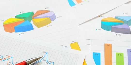 Colorful pie charts and bar graphs and a graph in detail on different pages, one above the other. 