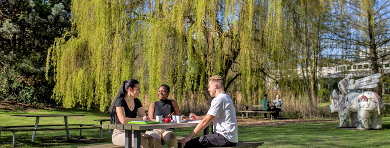 Drei Studierende sitzen an einem Sommertag an einer Sitzbank mit Tisch auf einer Wiese und unterhalten sich gut gelaunt.