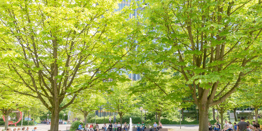 Studierende sitzend am Springbrunnen auf dem Campus Nord im Sommer