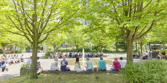 Students sitting by fountain on North Campus in summer.