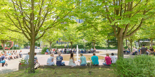 Students sitting by fountain on North Campus in summer.