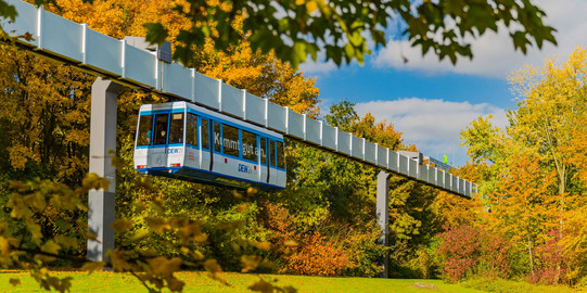 The H-Bahn is running and is surrounded by trees in autumnal colors.