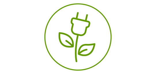 Icon einer Blume, dessen Blüte ein Stecker ist
