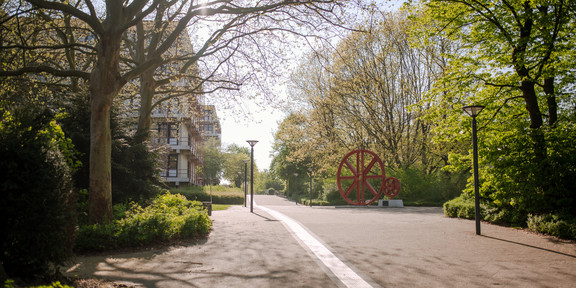 An asphalt path to the library building surrounded by flowering trees in summer.