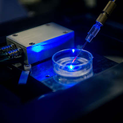 In einer Apparatur in einem Labor wird unter blauem Licht mit einer Spritze eine Flüssigkeit in eine Petrischale gegeben.