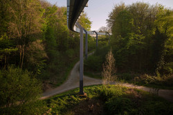Ein Teil der H-Bahn Linie umgeben von blühenden Bäumen.