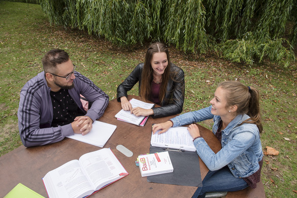 Drei Studierende sitzen an einem Tisch auf einer Wiese und lernen.
