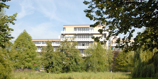 Trees with the white Emil Figge Strasse 50 building in the background