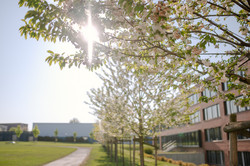 Ein Gebäudekomplex der TU Dortmund umgeben von blühenden Bäumen bei Sonnenschein.