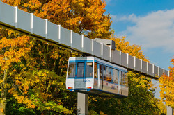 H-Bahn und Bäume mit bunten Blättern im Herbst