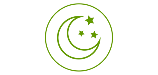 Grünes Icon eines Monds und Sternen, grün umrandet