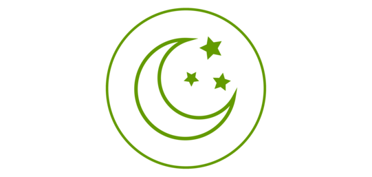 Green icon of a moon and stars, green bordered