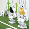 Zwei weiße Roboter im schwarzen und gelben Trikot stehen neben einander auf Kunstrasen, ein dritter Roboter kniet links hinter den beiden anderen Robotern.