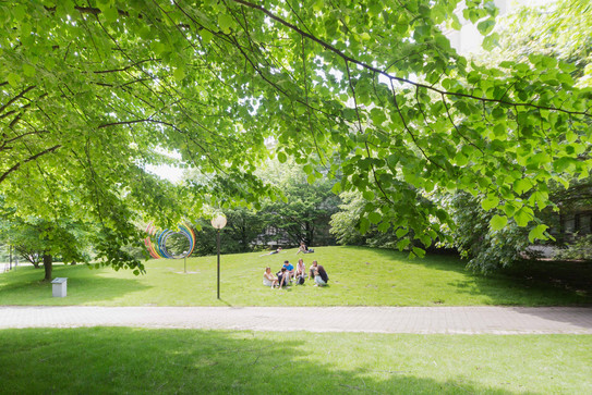 Students on the meadow with spectral rings in the background in summer