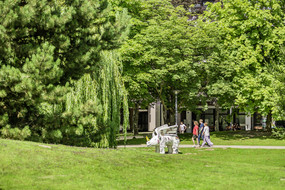 Studierende auf dem grünen Campus mit Nashornskulptur