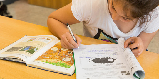 A student sits in the class and works in the notebook